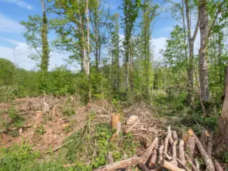 Bouwgrond te koop Roly (VBC74227)