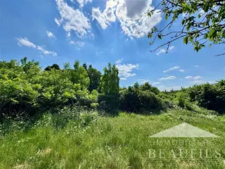 Terrain à bâtir à vendre Carnières (VBC77596)