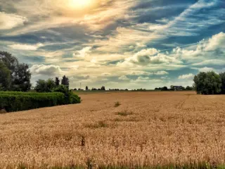 Bouwgrond te koop Eugies (VBC77736)