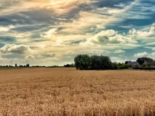 Bouwgrond te koop Eugies (VBC77752)