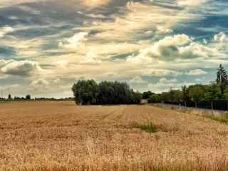 Bouwgrond te koop Eugies (VBC77756)