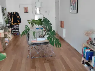 Appartement à louer Molenbeek-Saint-Jean (VBC78089)