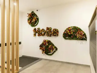 Appartement in medehuur Sint-Pieters-Woluwe (VBC78147)