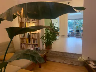 Appartement en colocation Drogenbos (VBC78300)