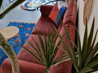 Appartement te huur Antwerpen (VBC78410)