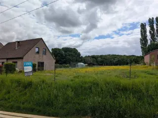 Terrain à vendre Sart-Eustache (VBC80014)