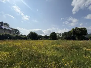 Land for sale Waimes (VBC86607)