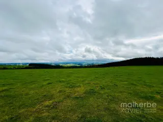 Grond te koop Büllingen (VBC87178)