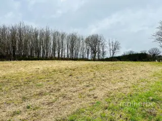 Grond te koop Büllingen (VBC87194)