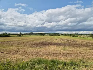 Farmland for sale Mariembourg (VBC89169)