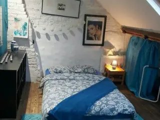 Appartement en colocation Schaerbeek (VBC89844)