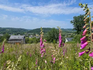 Terrain à vendre Forrières (VBC90726)