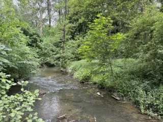 Land for sale Yves-Gomezée (VBC91090)