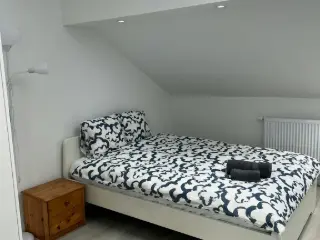 Appartement en colocation Gilly (VBC91443)