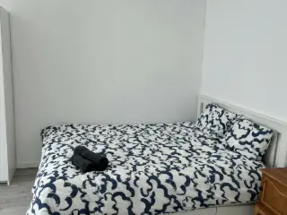 Appartement en colocation Gilly (VBC91445)