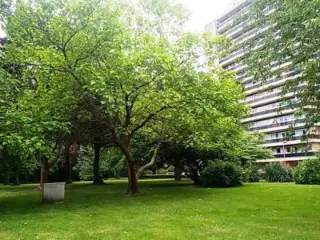 Studio te koop Luik (VBC91585)