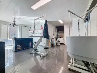 Handelspand te huur Molenbaix (VBC95153)