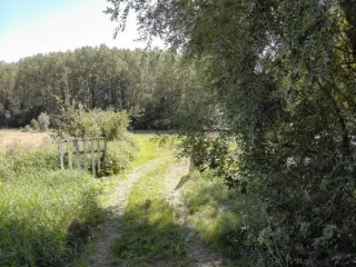 Natuurgebied te koop Halle (VBC96088)