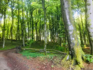 Residence for rent Tintigny (VBC96880)