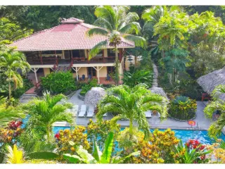 Surface commerciale à vendre Linden (VBC97111)