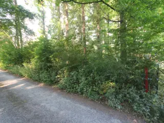 Bouwgrond te koop Roly (VBC97319)