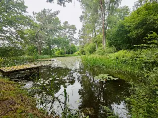 Réserve naturelle à vendre Gedinne (VBC97421)