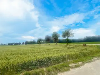 Farmland for sale Énines (VBC97995)