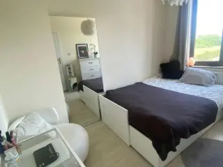 Appartement en colocation Rhode-Saint-Genèse (VBC98098)