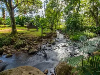 Surface commerciale à vendre Brasilito (VBC98273)