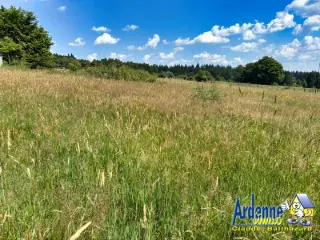 Terrain à vendre Mont (VBC98303)