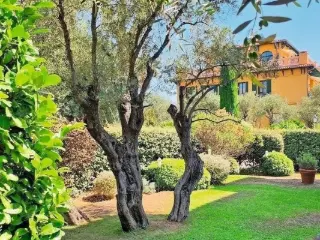 Appartement te koop Antibes (VBC98952)