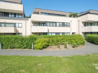 Appartement à vendre Waterloo (VBD00164)