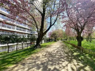 Appartement te koop Anderlecht (VBD02052)