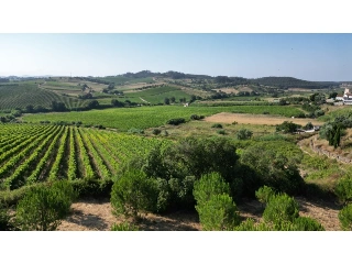 Villa à vendre 3 (VBD04706)