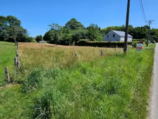 Grond te koop Houffalize (VBD06939)