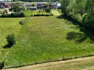 Terrain à bâtir à vendre Romerée (VBD08117)