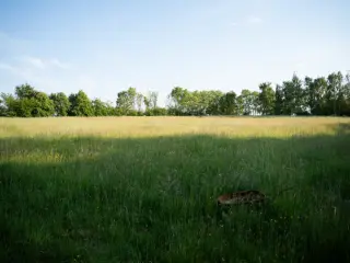 Land for sale Wépion (VBD08658)