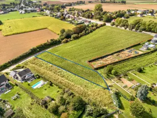 Grond te koop Oreye (VBD08884)