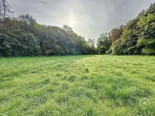 Terrain à vendre Dion (VBD09231)