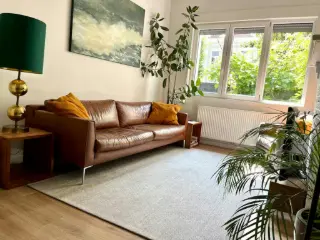 Maison à louer Anvers (VBD09545)