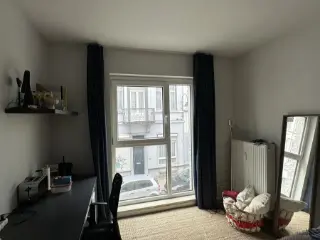 Kot à vendre Bruxelles (VBD09579)