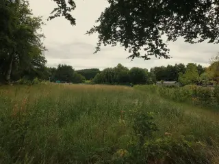 Grond te koop Büllingen (VBD09687)