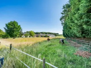 Grond te koop Ouffet (VBD09696)