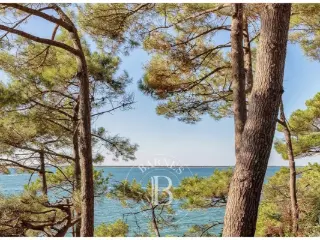 Villa te koop La Teste-de-Buch (VBD10167)