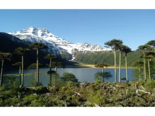 Terrain à vendre Commune indéterminée (VBD10194)