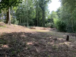 Terrain à vendre Morlanwelz (VBD10323)