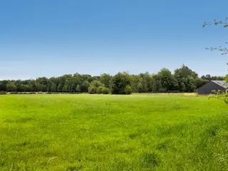 Terrain à vendre Daverdisse (VBD10636)