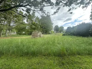 Verkavelingsgrond te koop Schoenberg (VBD11439)