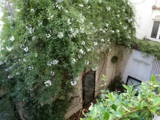 Maison à louer Bruxelles (VBD12426)