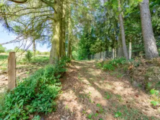 Land for sale Vielsalm (VBD12481)